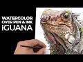 Watercolor over Pen and Ink - Iguana with Line and Wash