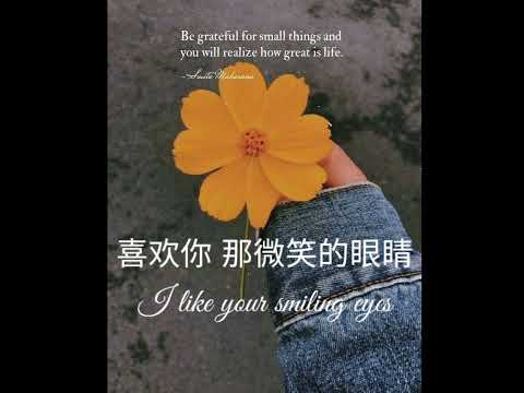 [Chinese-English lyrics] Thích Anh - Từ Giai Oánh | 喜欢你 - 徐佳莹 | Like you - Lala Hsu