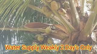 Deal - 620. 2.46 Acres. Anjugramam Chetikulam.