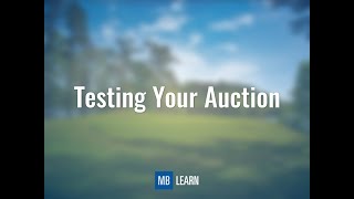Testing Your Auction