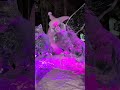 animal band #art #artist #artwork #handmade #animals #animallovers #band #rockband #music #ice #cute