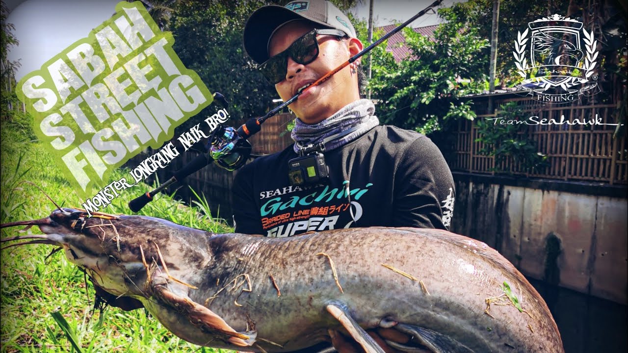 Sabah street fishing | Monster landed