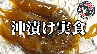 漁ってすぐ沖漬けにしたホタルイカを食ってみた