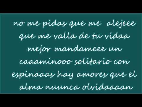 Prince Tracklists Lyrics Live Songs Tour Albums Vibbidi