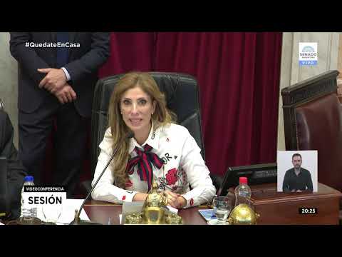 VOTACIÓN LEY DE ALQUILERES - SESIÓN ESPECIAL REMOTA 11-06-20