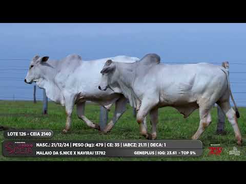 LOTE 126 CEIA 2140 CEIA 2142