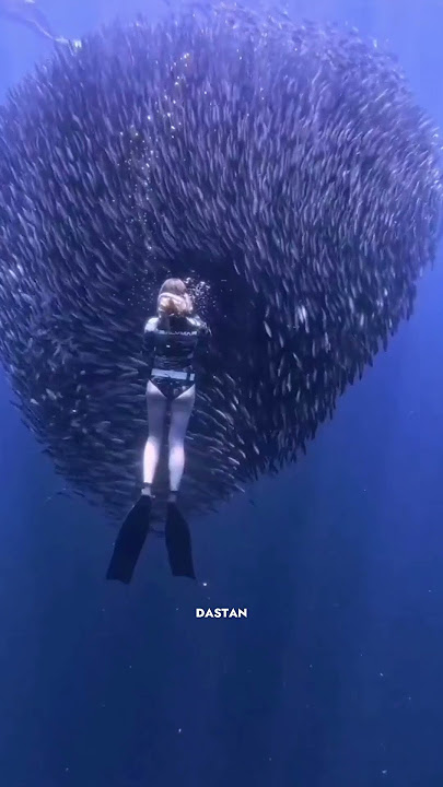 This Is Why You Should Never Jump Into The Ocean