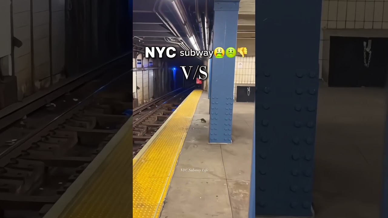 USA Metro 🚇 vs Chinese Metro 🚄 – Which one wins?  