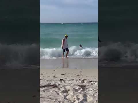 Sonakshi Sinha Fat Thighs In A Swimsuit 