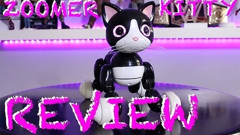 ZOOMER KITTY REVIEW