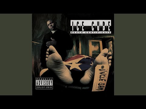 Ice Cube — Robin Lench