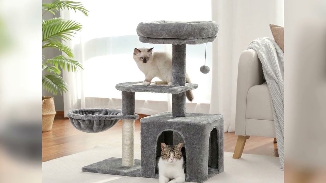 A must-have product! FEIJIAN 500ml Food Thermos,  316 Stainless Steel Vacuum Insulated Food Jar Wi