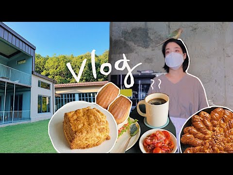 #213 Vlog I 카페 오픈 첫 출근 브이로그 I 김갈릭