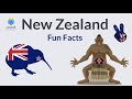 New zealand culture  fun facts about new zealand