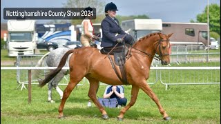 NOTTS COUNTY/SIDESADDLE SHOWING