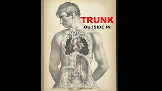 TRUNK - Outside In (DEMO) 1998 - Big Worm recordings