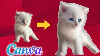 How To Turn Any Photo Into Cartoon or Anime In Canva (2026)