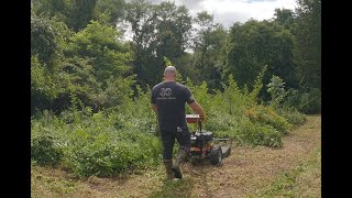 Land clearing with the DR Brush Mower