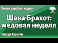 Урок для женщин. Шева Брахот: медовая неделя. Ципора Харитан