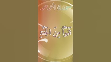 سورة الزمر بصوت القاري حماد حسين #qarihammadhussain