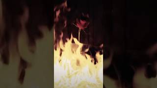 FOLK MUSIC FRIDAYS! Today: "YOU BELONG TO ME," a slave rebellion ballad & my first directed video.