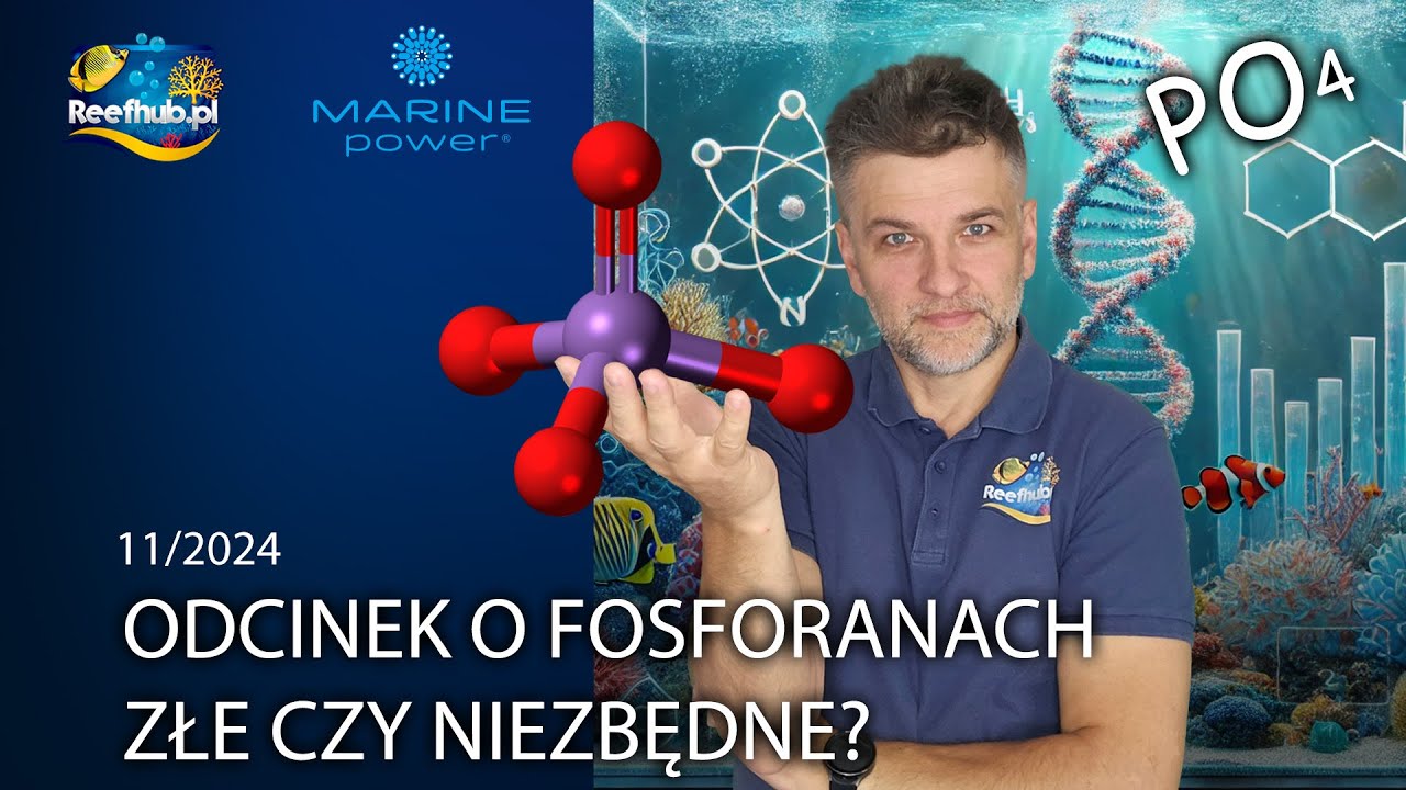 Fosforany w akwarium morskim