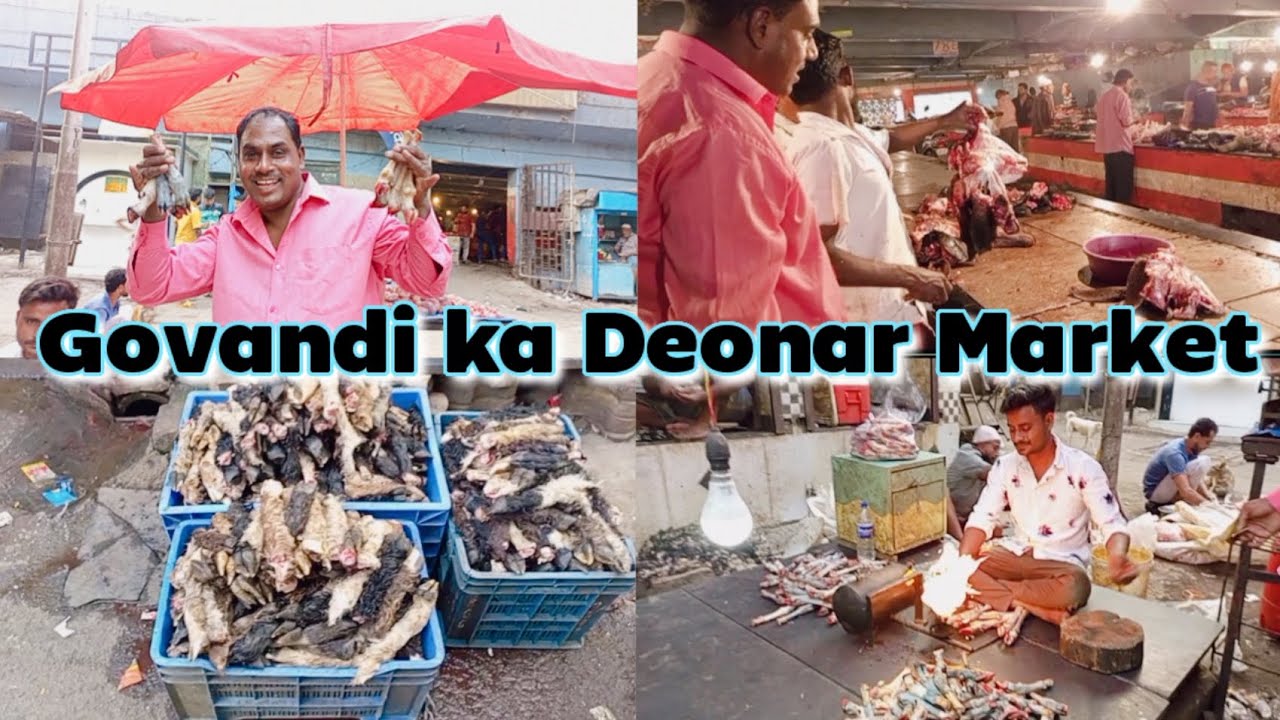 Govandi ka Deonar Market se Hum ne kya-Laye•||vlog.{Mr.munirvlogs ...