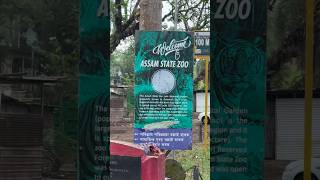 Inside Assam Zoo 🦁 || Travel Diaries ✨ #shorts #ytshorts #traveler #trendingshorts #guwahati