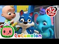 Down by the bay  animals for kids  animal cartoons  funny cartoons  learn about animals