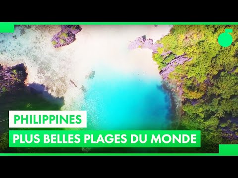 Vidéo: Quand le tagalog a-t-il été établi comme langue nationale des Philippines ?