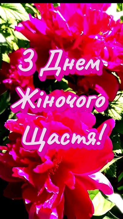 З ДНЕМ ЖІНОЧОГО ЩАСТЯ 🌹🌹🌹🌹🌹 #привітання #вітання #побажання #щастя ...