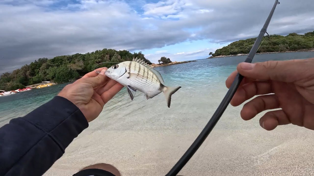 Peshkim ne KSAMIL me imitusa. ALBANIA