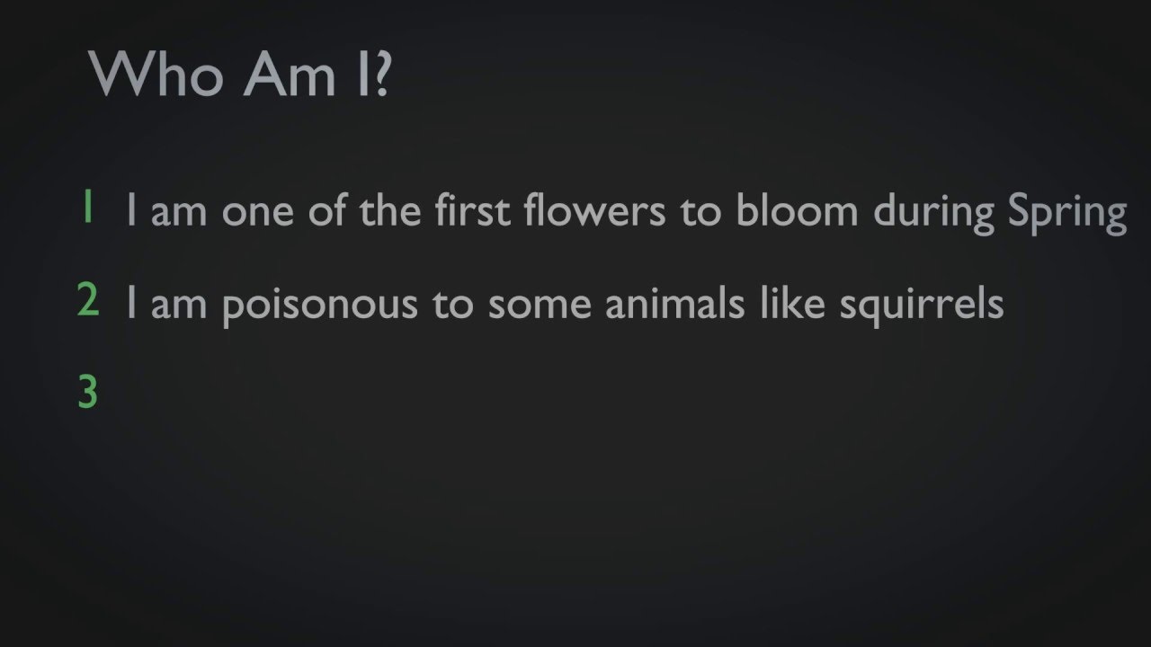 education film Who Am I - Flowers - 7 - Educational Videos