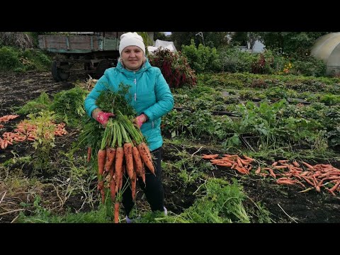 Видео привет с