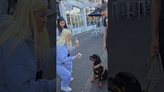 Bu Rottweiler'in Dondurma Sevgisi Çok Komik #rottweiler #funnydog #shorts