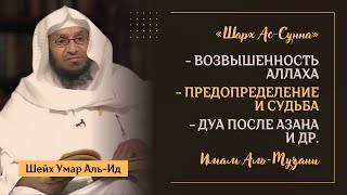 Большие ИМАМЫ О ВОЗВЫШЕННОСТИ Аллаха | "Шарх Ас-Сунна" Имама Аль-Музани - Шейх Умар Аль-Ид | Часть-4