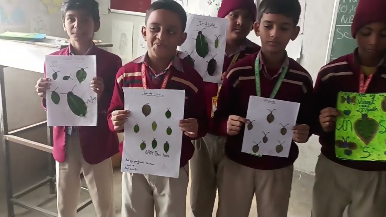 Insects Made Using Green Leaves| Insects| classroom|Science| Activity|Class - 4| 