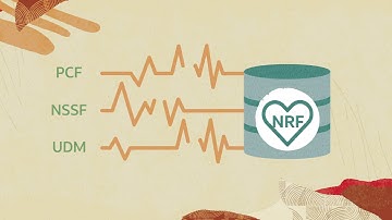 Network Repository Function Overview