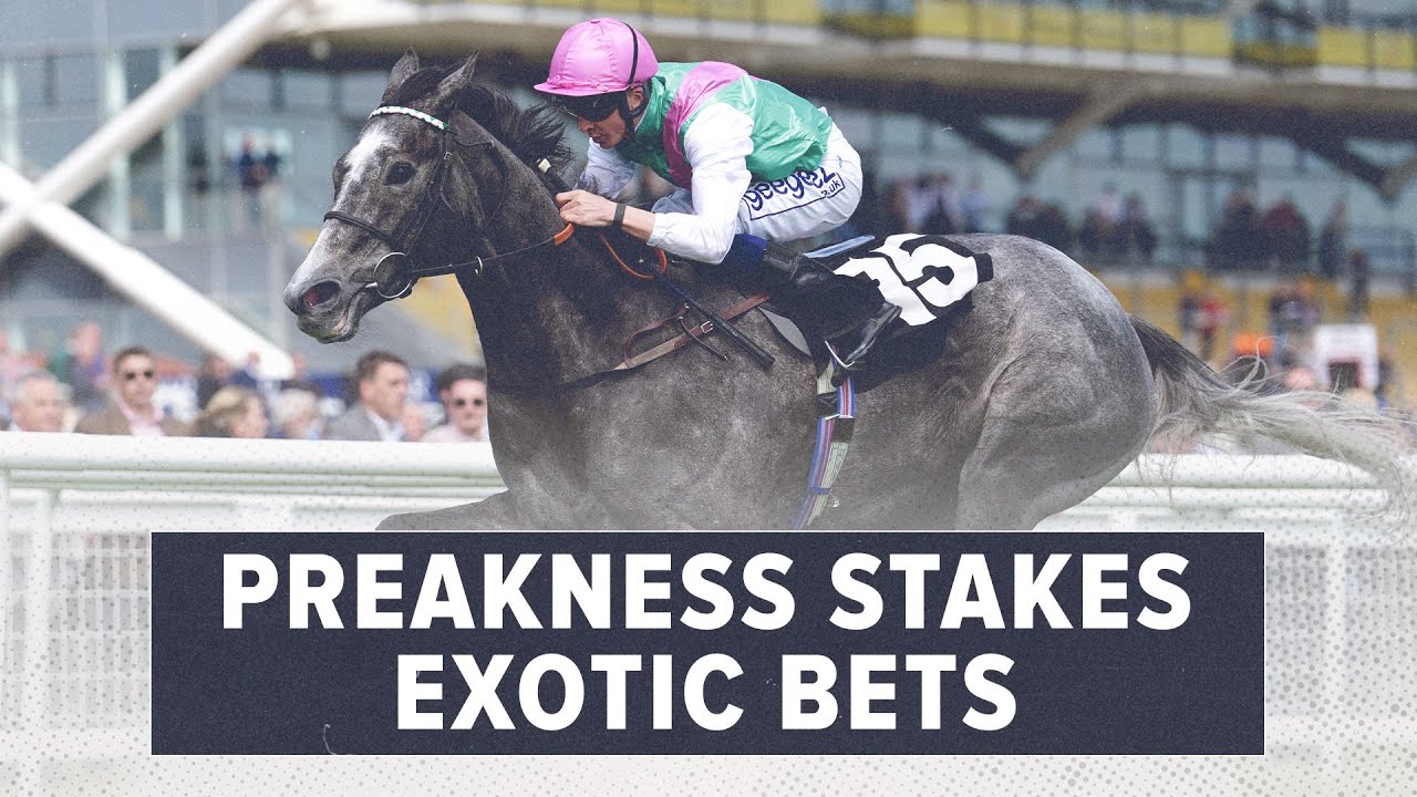 2023 Preakness Stakes Exotic Picks Horse Racing Picks, Odds