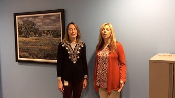 Preview of Implement Enterprise Agile | Francie Van Wirkus & Claudia Marquette | Agile Dev East 2017