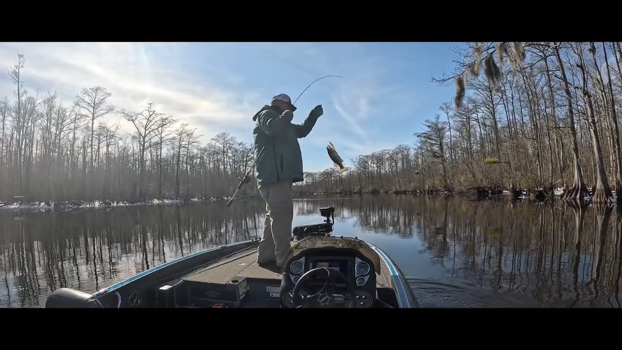 Bass fishing in the Little River 38 degree water temperature