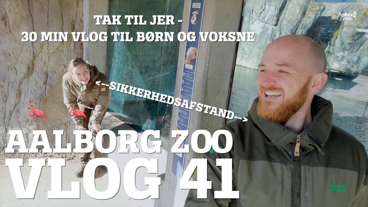 TAK! VI SAVNER JER - Sjov og læring til børn & voksne | Støt dyrene hjemmefra | AalborgZoo VLOG41