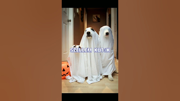 nagyon ritka kutyák amiket még soha nem láttál!!!