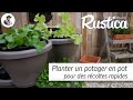 Un potager en pot pour des récoltes rapides