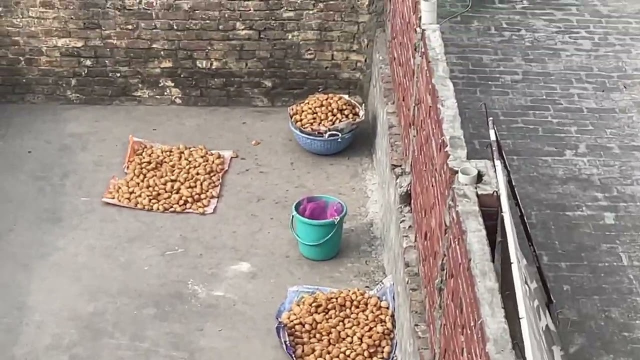 Exam Prepration 📚As Final Year of Bcom student // Vlog 04 // Jackwelaguy // 