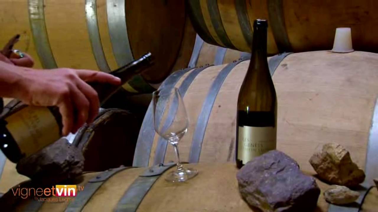 Domaine Damien Laureau à Savennières 49 - Terroirs et patrimoine : Vignobles