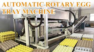 High-Speed Egg Tray Machine in Action | Fully Automatic Pulp Molding Production#eggtraymachine