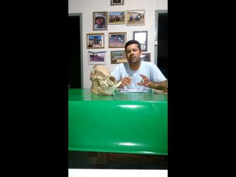 vdeo