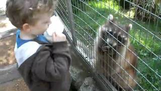 20100424_FE370_06410.AVI