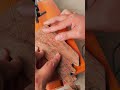 cutting wood #woodworking #carpenter #ideas